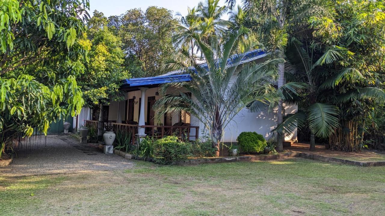 Avian Garden Udawalawe Hotel Exterior photo