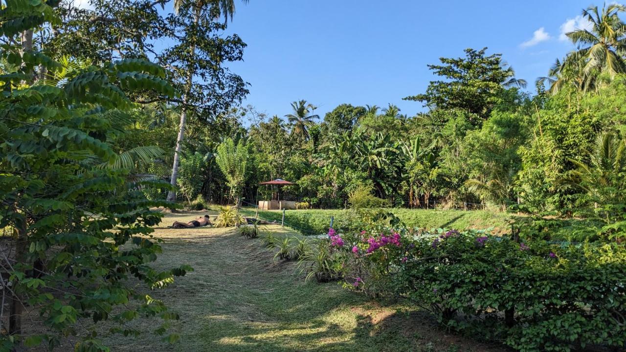Avian Garden Udawalawe Hotel Exterior photo