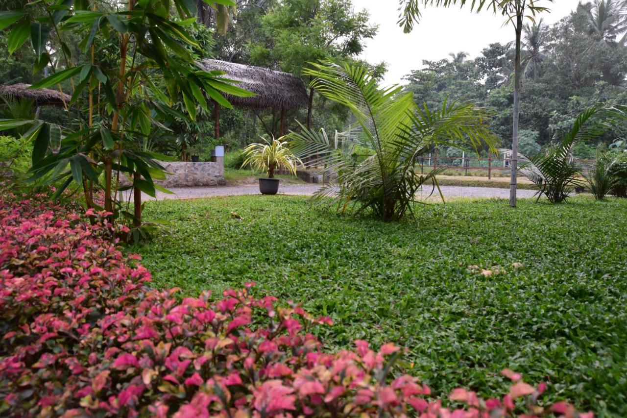 Avian Garden Udawalawe Hotel Exterior photo